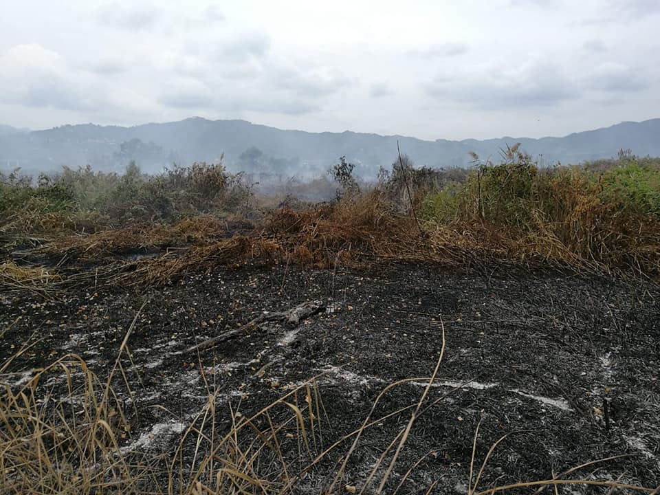 Più controlli sui terreni incolti ed abbandonati. Li chiede Coldiretti ad alcuni giorni di distanza dall’incendio della torba