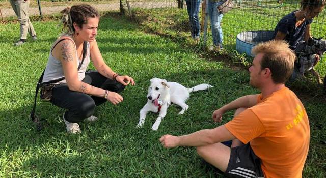 Grande successo alla &#8220;Giornata del Cucciolo&#8221;: El Perro Loco fa il pienone