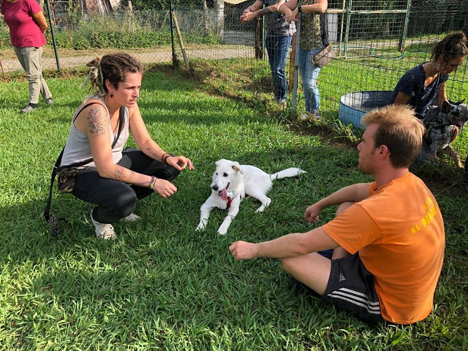 Grande successo alla “Giornata del Cucciolo”: El Perro Loco fa il pienone