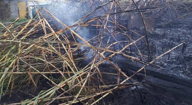 Rogo in padule a Massarosa: &#8220;Vegetazione, baracche e barchini distrutti&#8221;