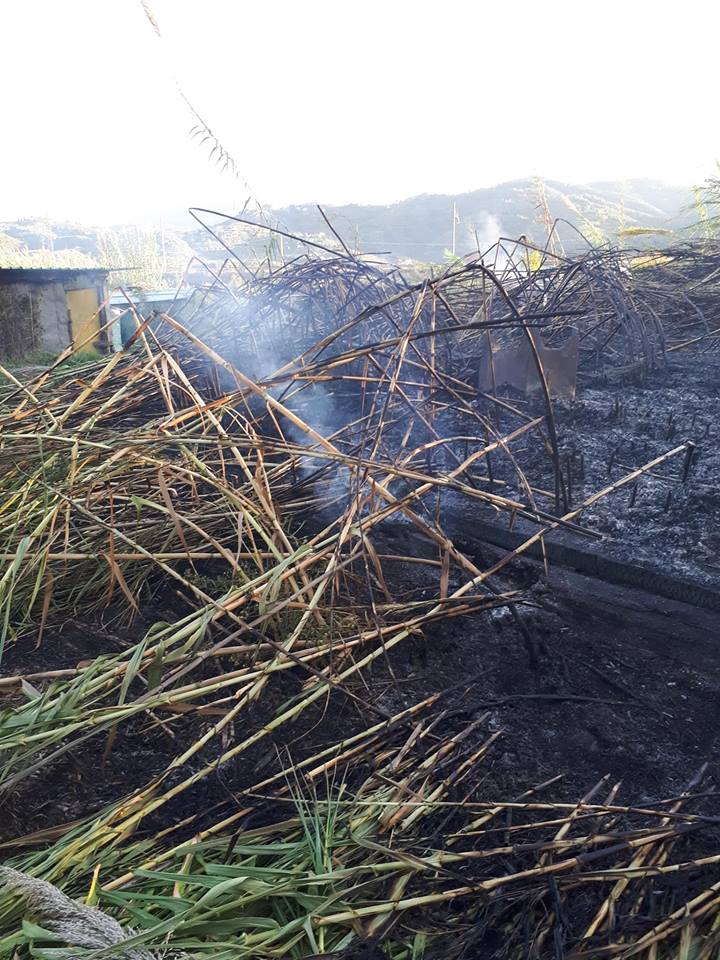 Rogo in padule a Massarosa: “Vegetazione, baracche e barchini distrutti”