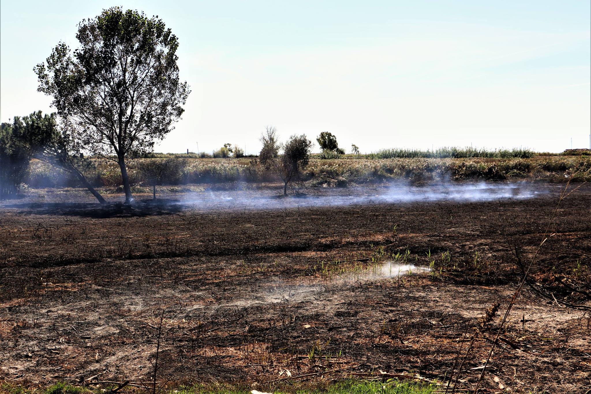 Incendio in padule alle cave di Bozzano, campionamento dei fumi da parte di Arpat