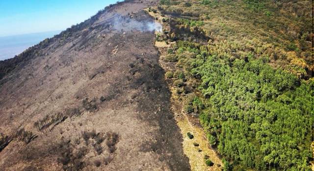 Monte Serra a fuoco, richiesta di calamità naturale