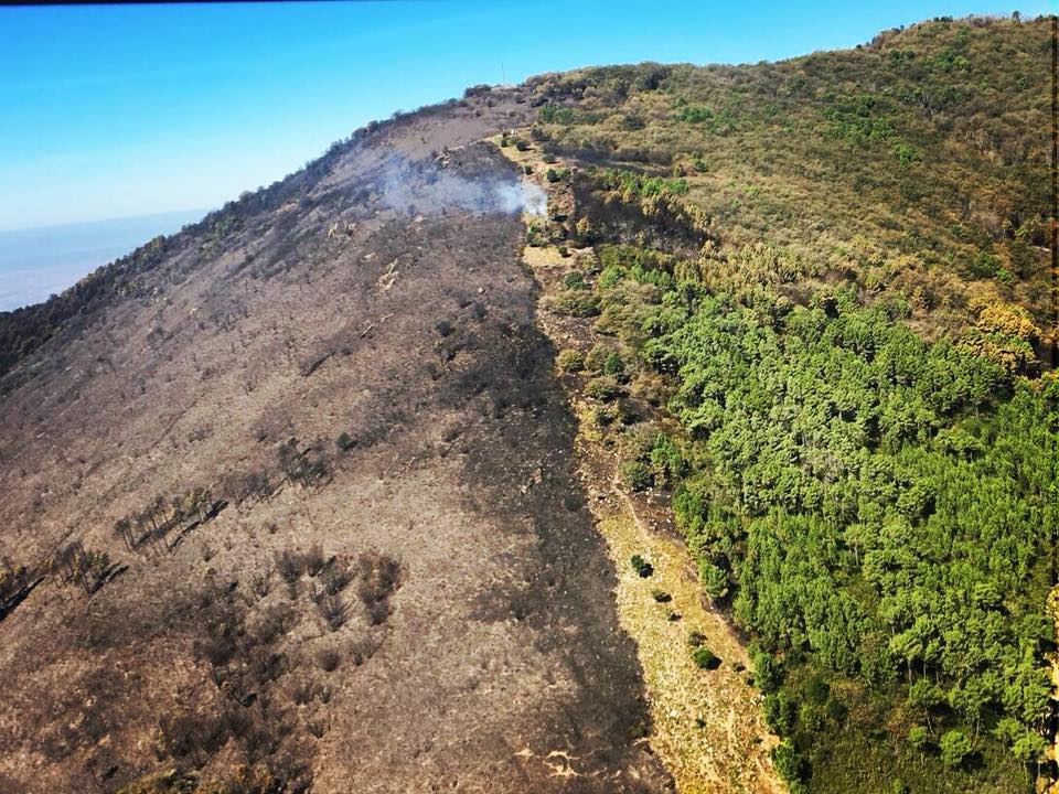 Monte Serra, fuoco spento: rimangono solo alcuni focolai