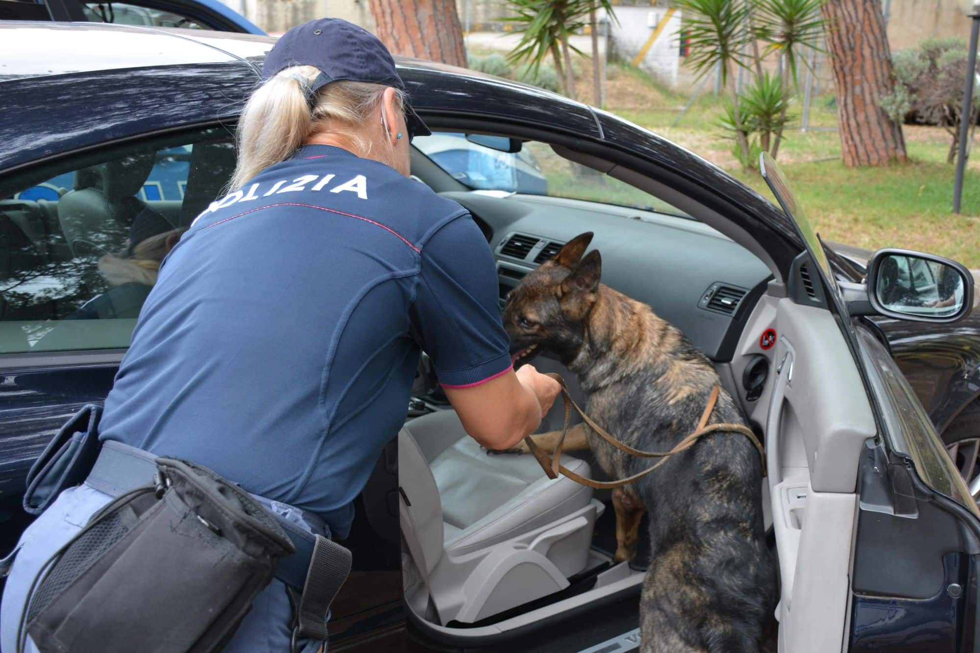 Maxi operazione della Polizia, in azione anche il cane antidroga Kora