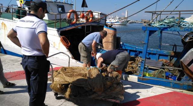Guardia Costiera di Viareggio, controlli sulle attività di pesca: sequestri e sanzioni