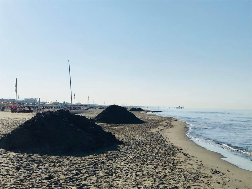 Altre tonnellate di lavarone spiaggiate sul litorale di Marina di Pietrasanta