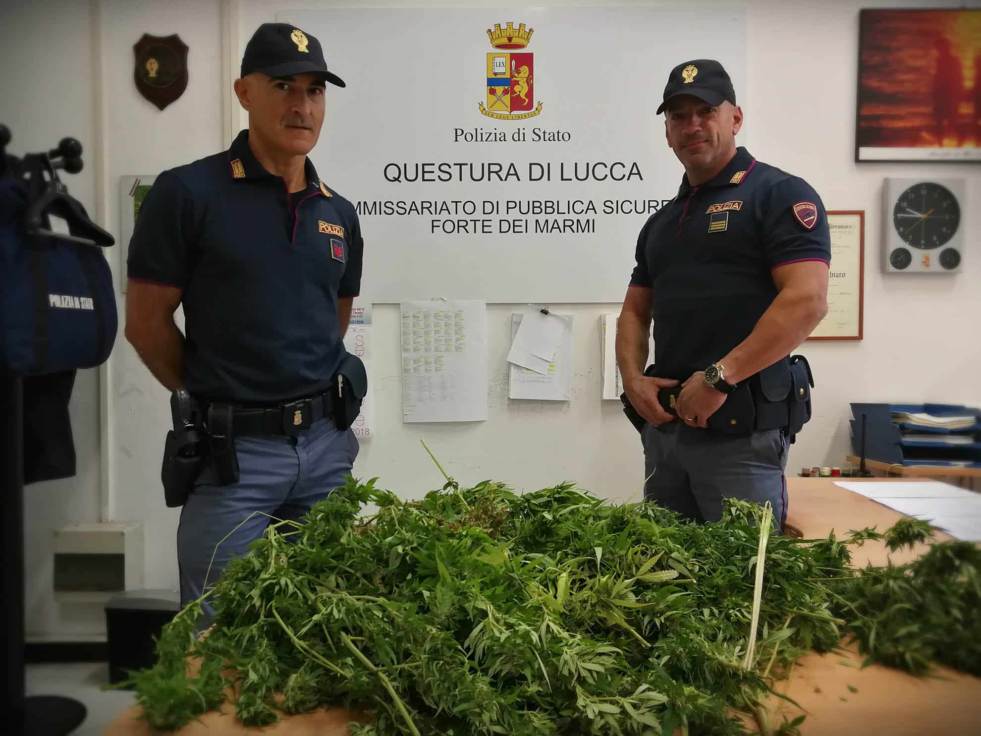 Coltiva  piante di cannabis mentre è ai domiciliari: denunciato