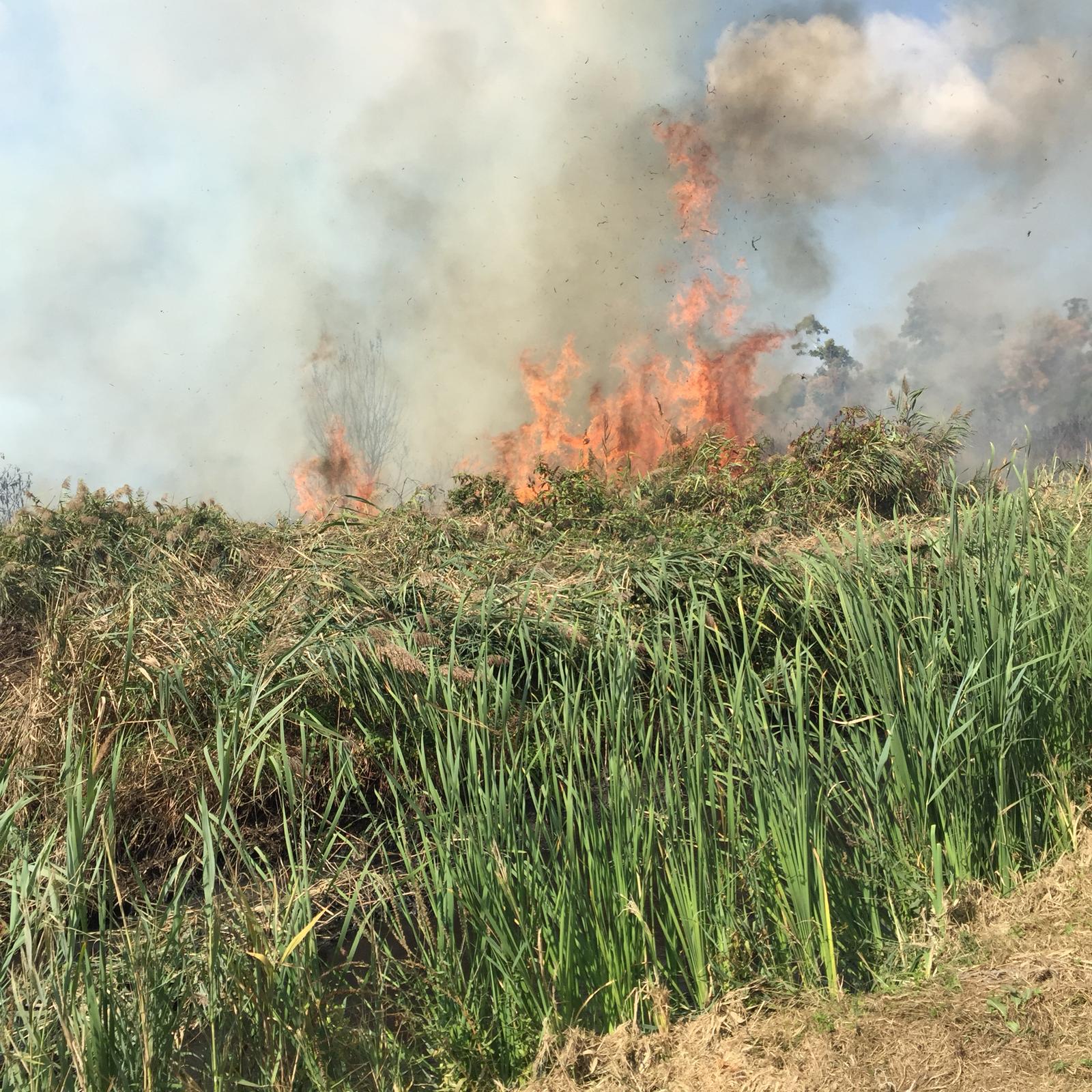 Ancora fiamme alte in padule: la torba continua a bruciare