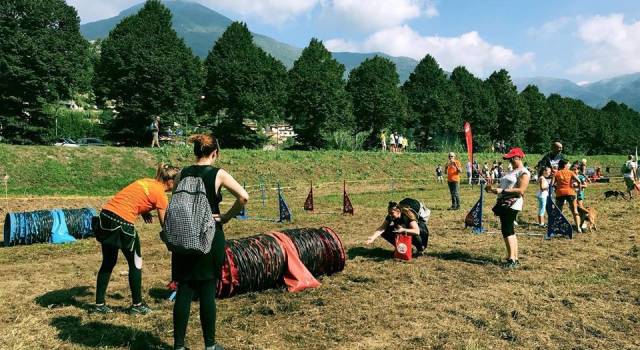 Anche i cani de &#8220;El Perro Loco&#8221; alla terza edizione della FrancigenAmica di Camaiore