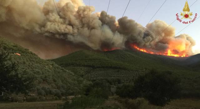 Incendio sul monte Serra, centinaia di sfollati: scuole chiuse
