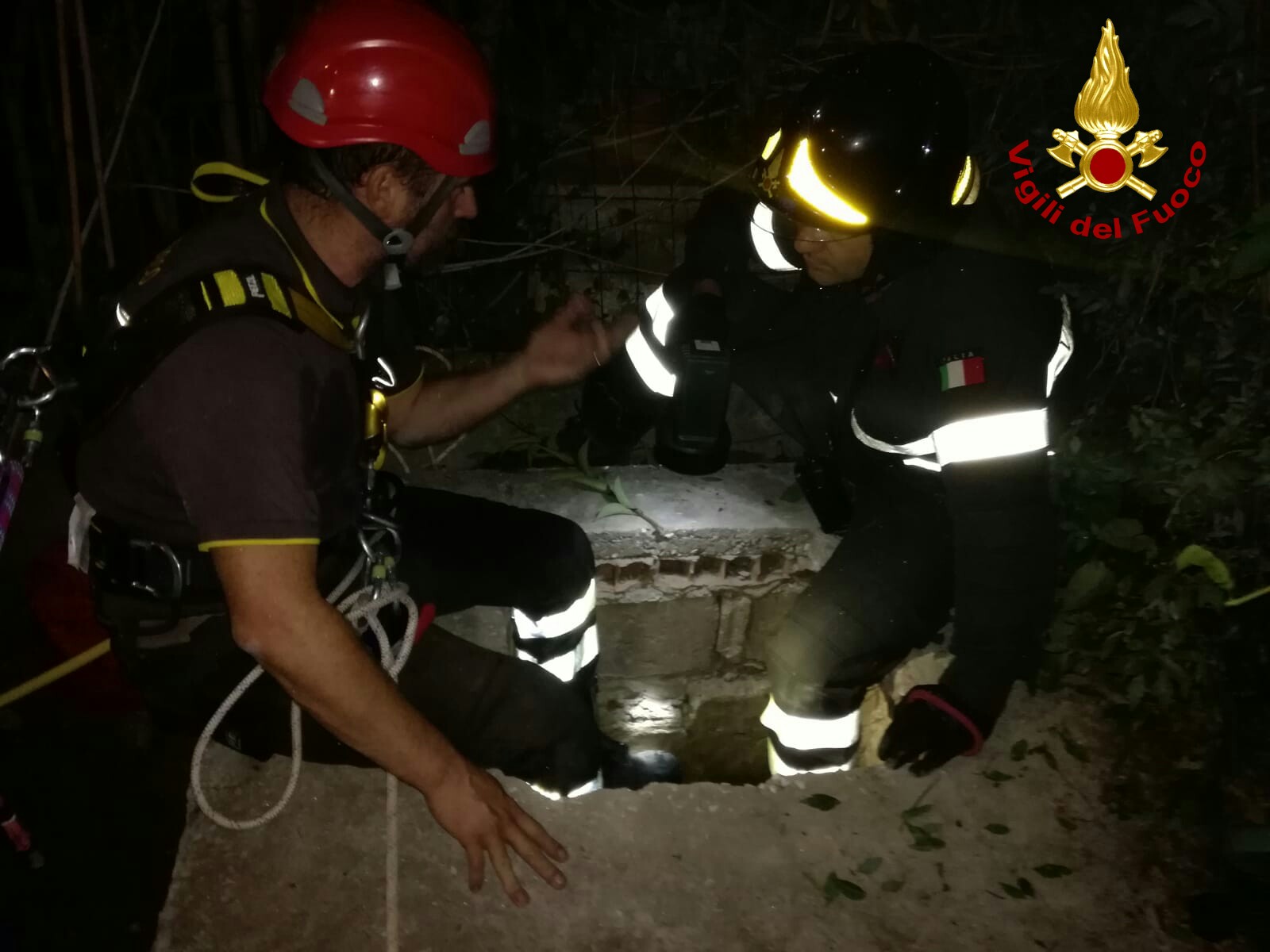 Salvato dai pompieri il piccolo chihuahua caduto in un pozzo