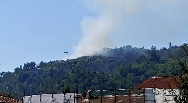 Incendio a Camaiore, le fiamme al Belvedere sopra Incaba
