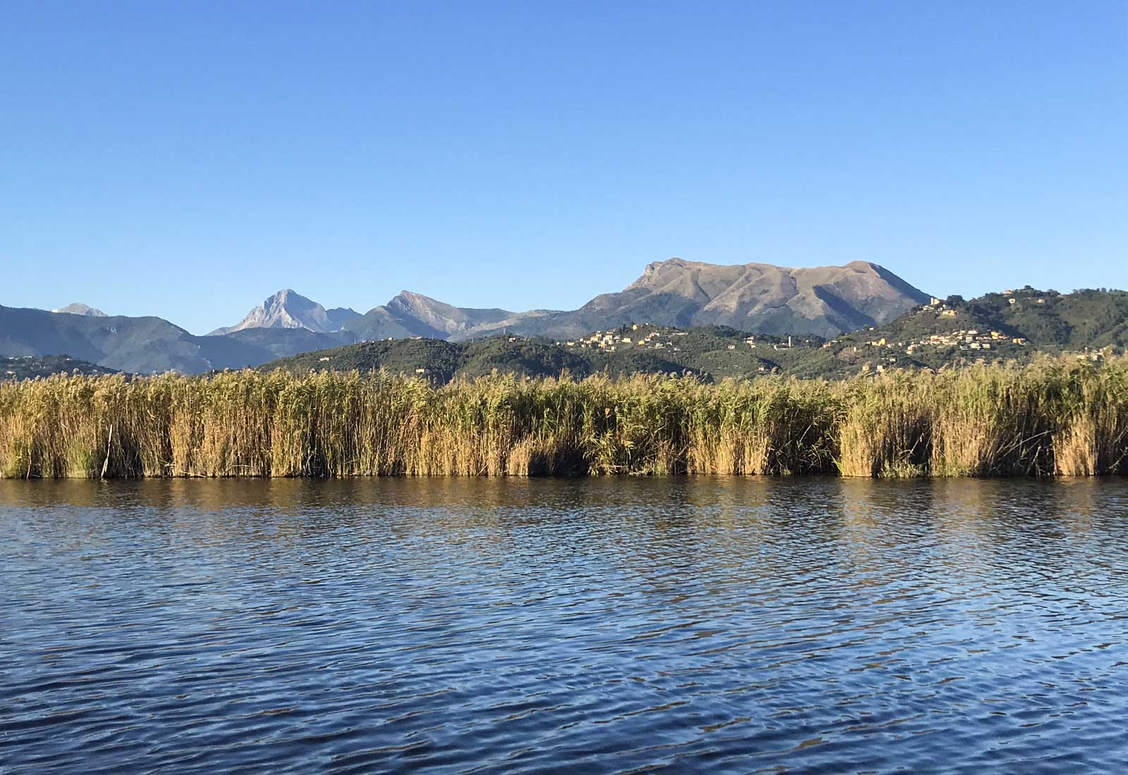 Lago di Massaciuccoli tra degrado e prospettive