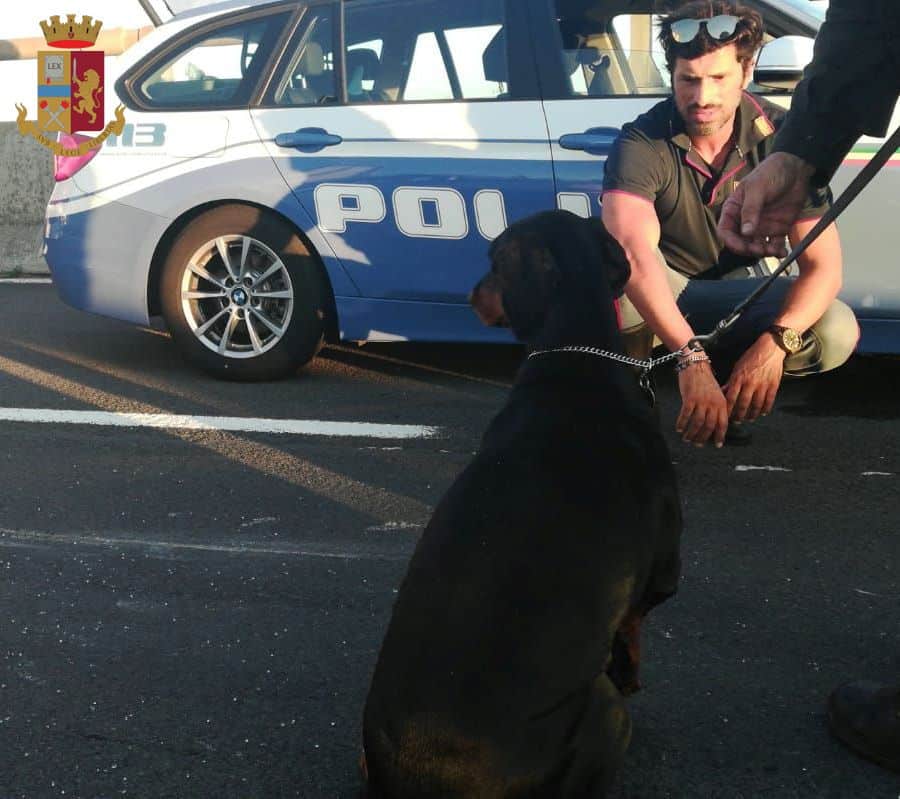 In auto con il suo cane viene tamponata, ma ha l’assicurazione e la patente scadute: la Polstrada prima soccorre tutti, poi le sequestra l’auto