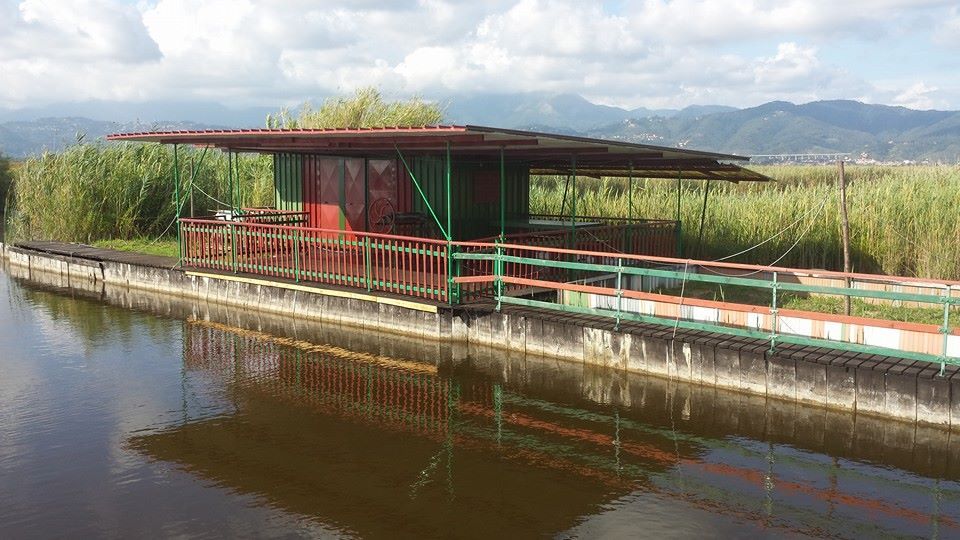 Caccia, Stefano Baccelli: “Importante tutelare l’attività venatoria su lago Massaciuccoli”