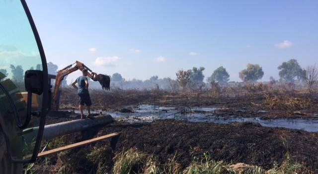 Incendio di torba, il sindaco Mungai in padule: una ditta specializzata sta allagando la zona
