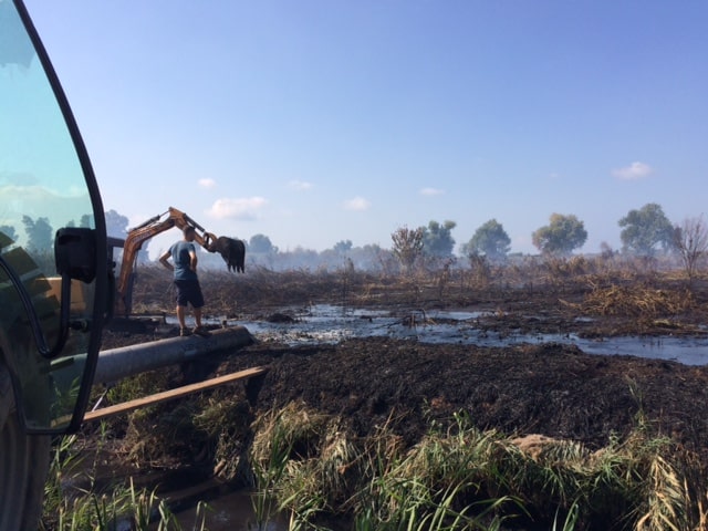 Incendio di torba, il sindaco Mungai in padule: una ditta specializzata sta allagando la zona