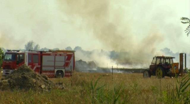 Il puzzo di bruciato a Viareggio ha un &#8220;responsabile&#8221;: incendio di torba nella zona della bonifica