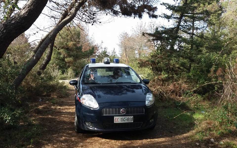 Operazione antidroga in pineta di levante, smantellata la rete di spaccio