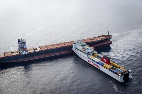 Disastro ambientale, preoccupazione del Cetus Viareggio dopo la collisione in mare