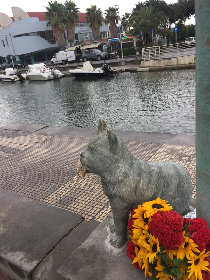 La pioggia grazia l’anniversario del gatto Ettore, e il gemellaggio con Pippo