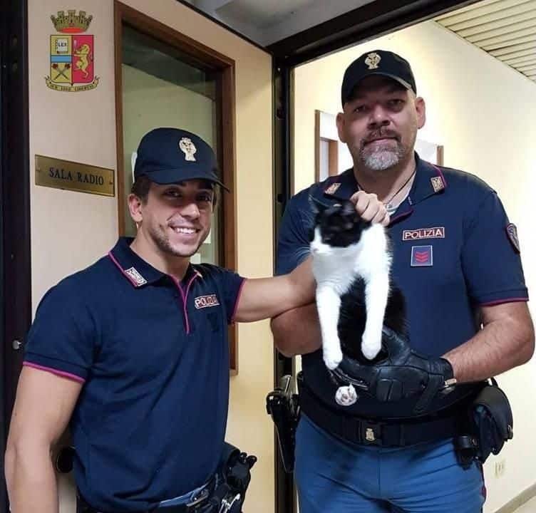 AREZZO E PISTOIA Cane e gatto rischiano di finire travolti dalle auto salvati dalla Polstrada FOTO 3