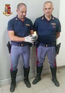 AREZZO Pappagallo si infila in Autogrill sullA 1 messo al sicuro dalla Polstrada e dai dipendenti. FOTO 1