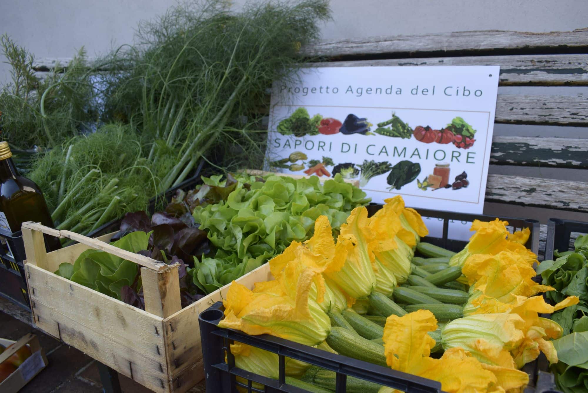 Agenda del cibo, al via gli incontri