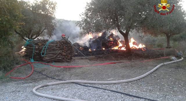 50 rotoballe di fieno a fuoco, evitato che le fiamme coinvolgessero ulivi e cataste di legno