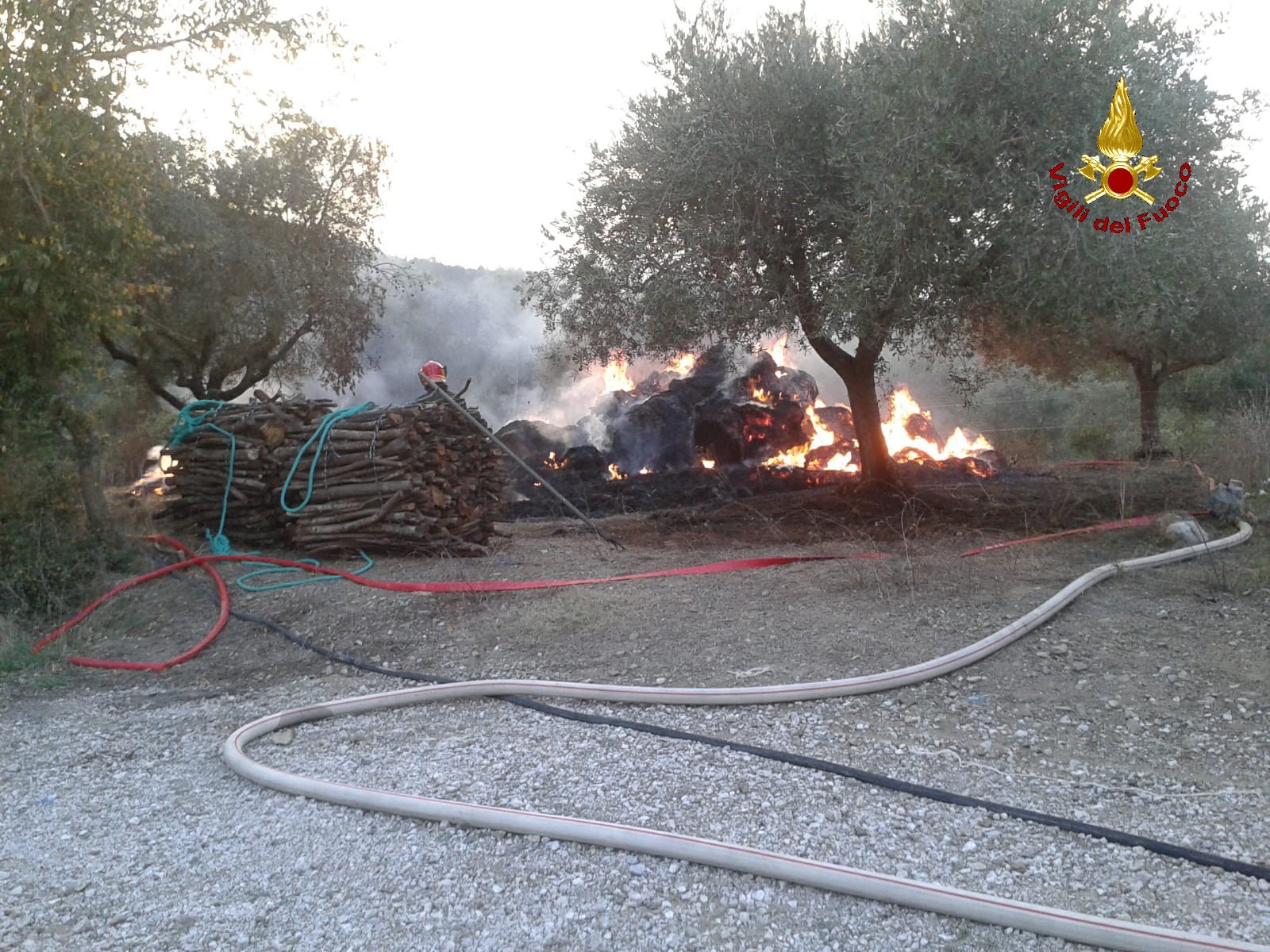50 rotoballe di fieno a fuoco, evitato che le fiamme coinvolgessero ulivi e cataste di legno