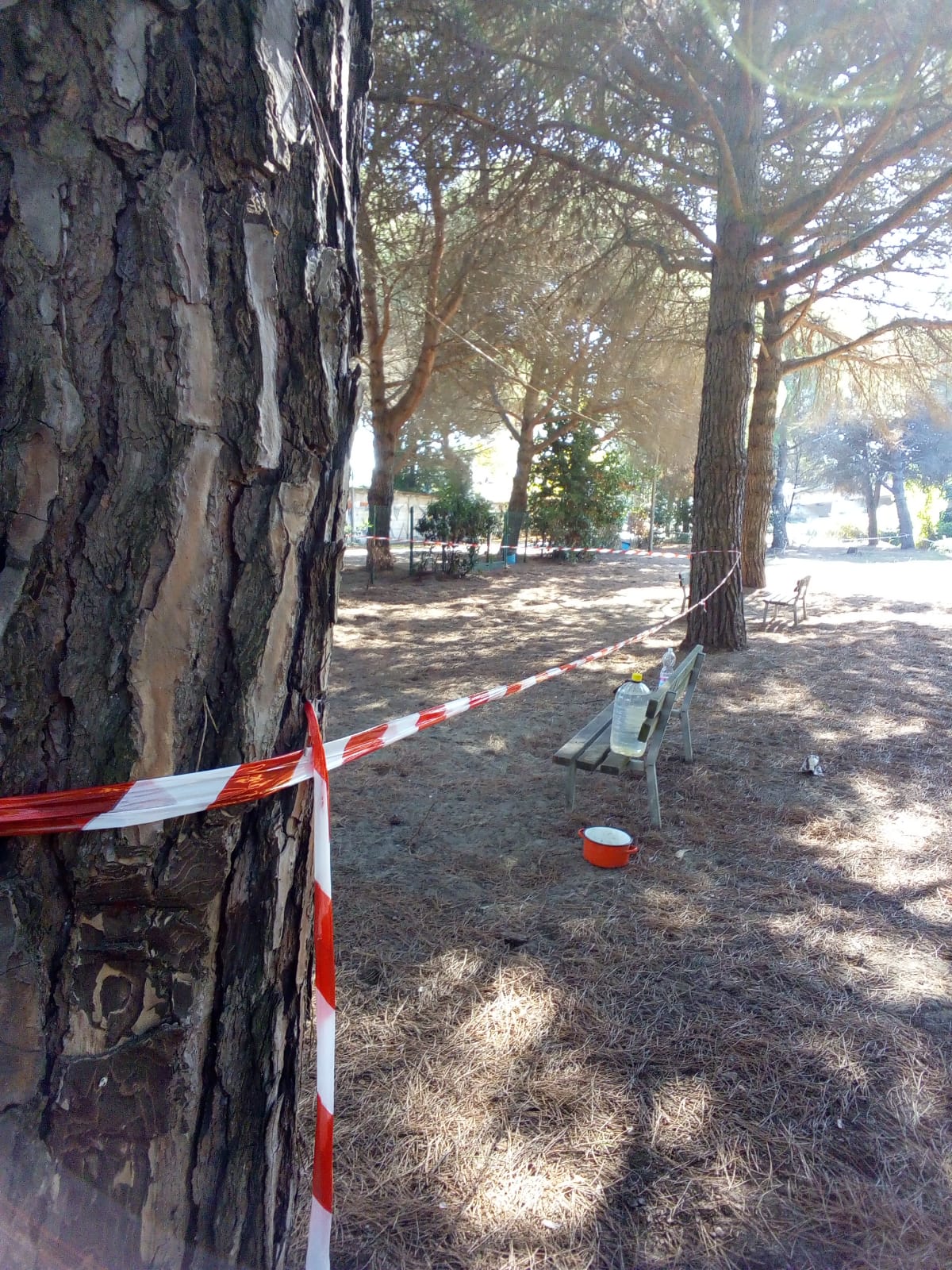 Inagibile: chiuso lo sgambatoio di Torre del Lago