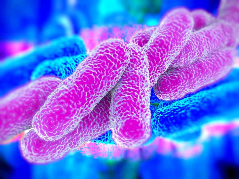 Un caso di legionella anche in Toscana, 40enne in terapia intensiva