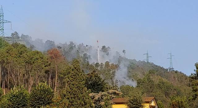 Nuovo incendio sui monti a Camaiore