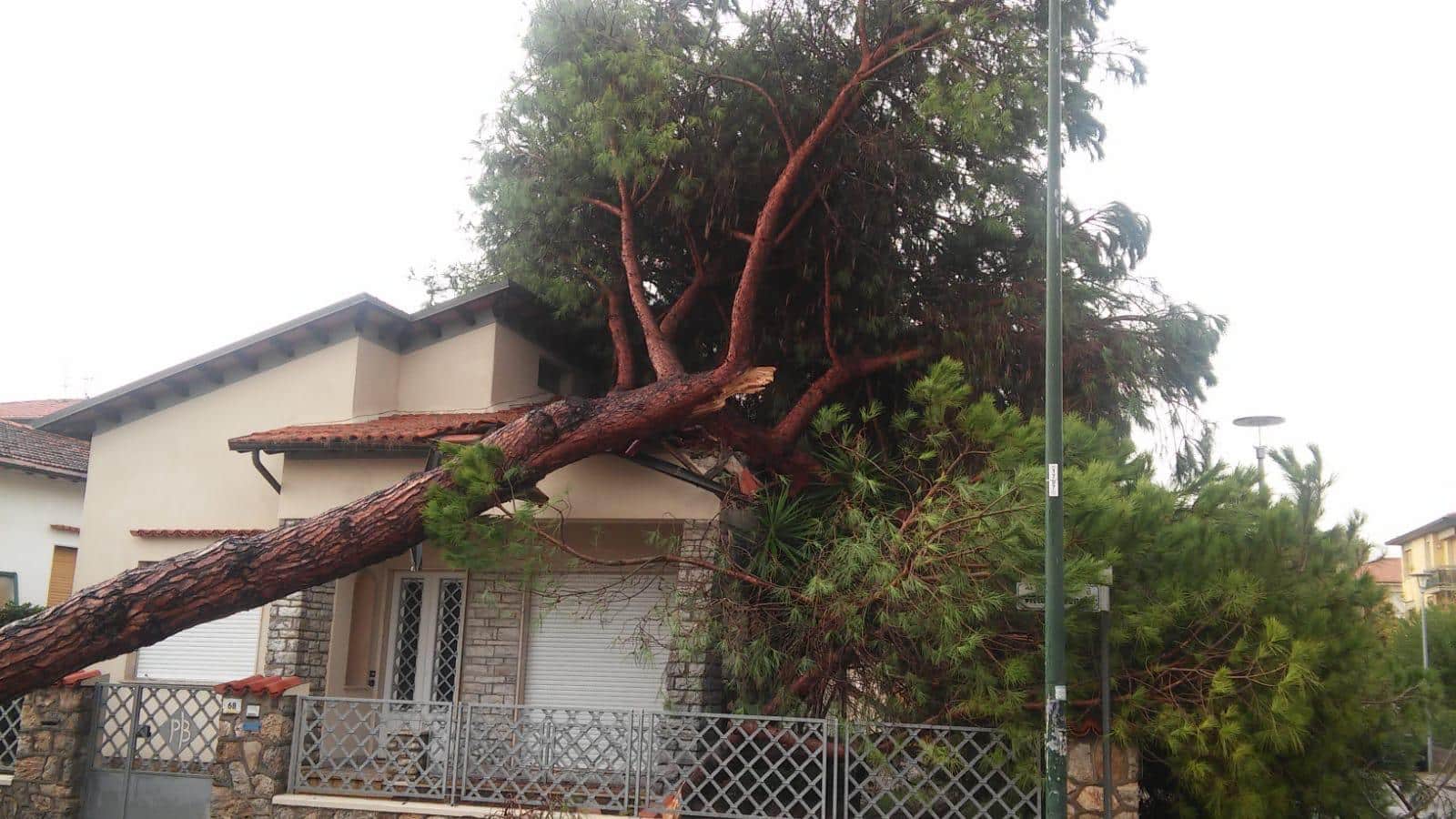 Paura a Lido, crolla un pino su una casa