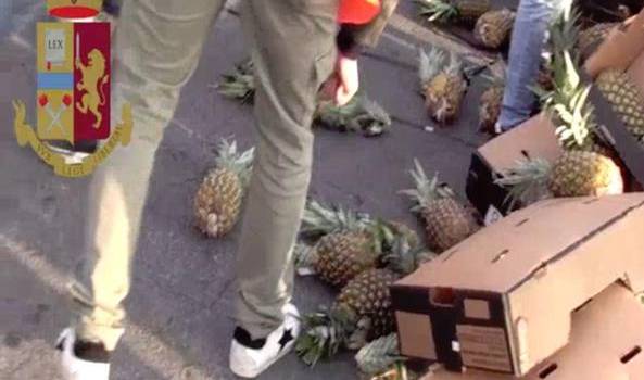 Operazione &#8220;Miracolo&#8221;, cocaina nascosta tra gli ananas: sequestrati 221 Kg di droga