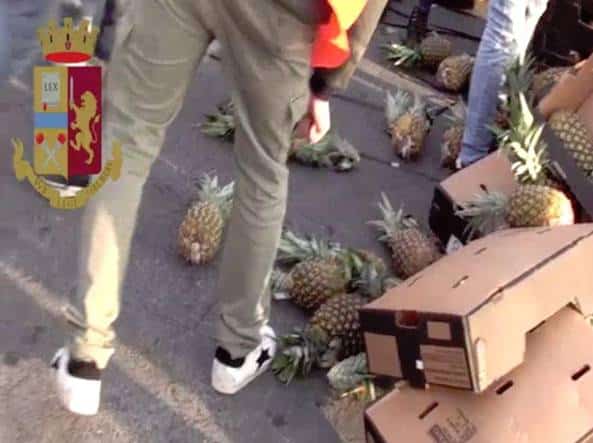 Operazione “Miracolo”, cocaina nascosta tra gli ananas: sequestrati 221 Kg di droga