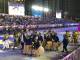 i figuranti del carnevale di viareggio a ningbo in cina 5