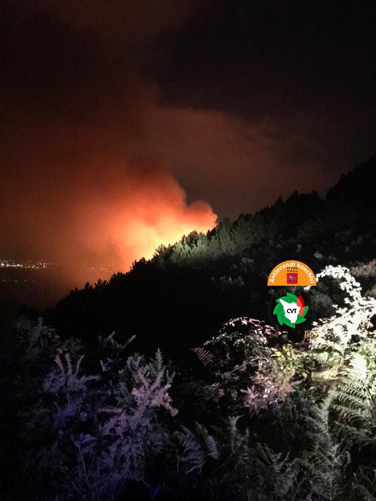 Ancora fuoco sul Monte Serra, questa volta sul lato lucchese: in cenere 4 ettari di bosco