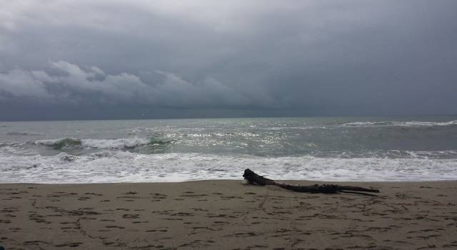 Maltempo, scatta l&#8217;allerta: pioggia, mare mosso e libeccio