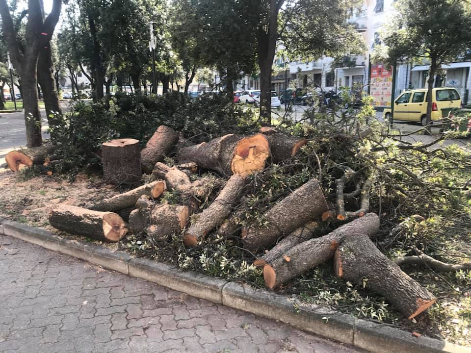 Piazza Piave, Santini: “Abbattuti gli alberi piantati per ricordare i viareggini morti al fronte”