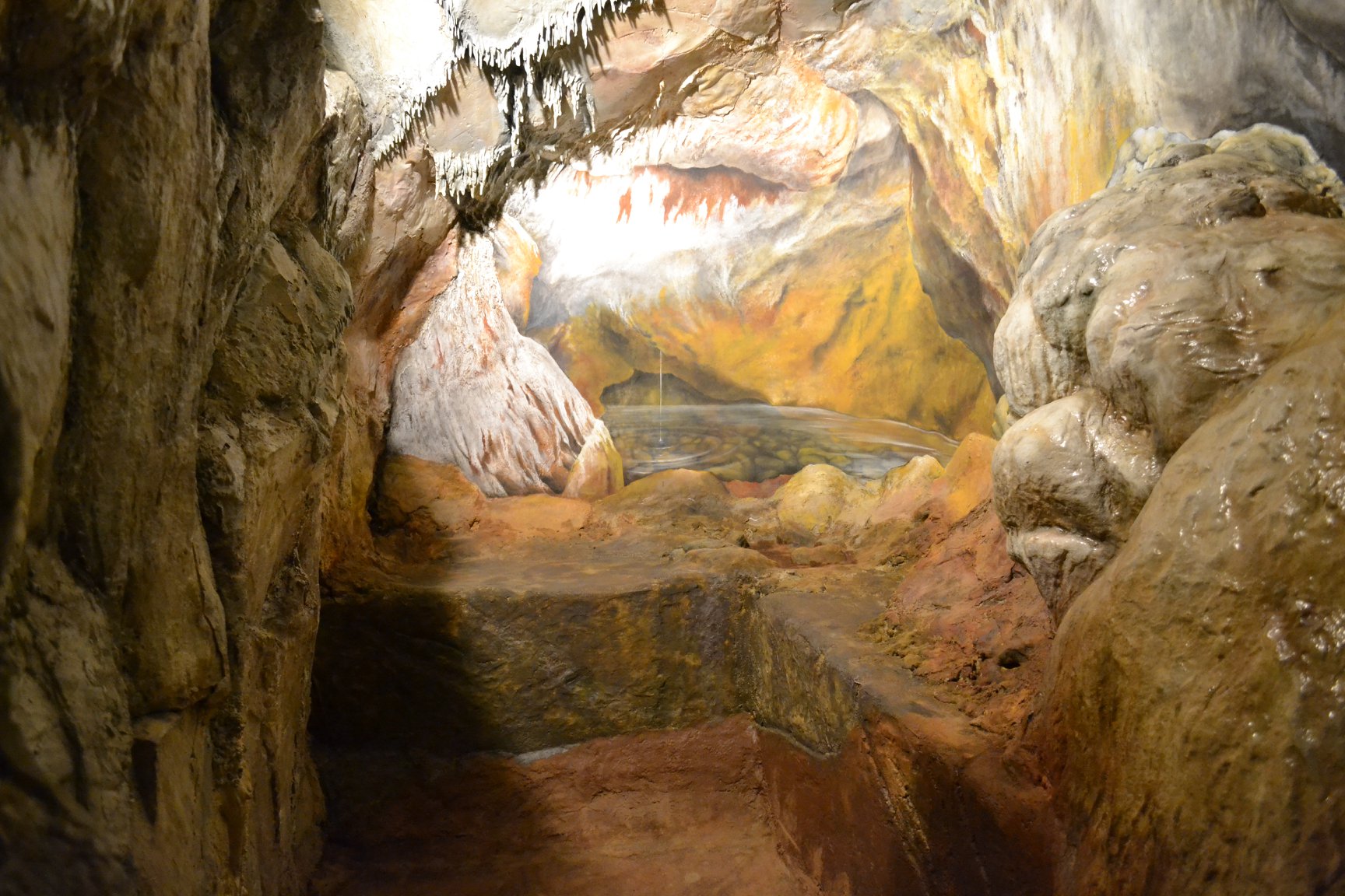 Museo di Storia Naturale: inaugurazione del nuovo allestimento “Grotta del Leone, l’uomo preistorico sul Monte Pisano”