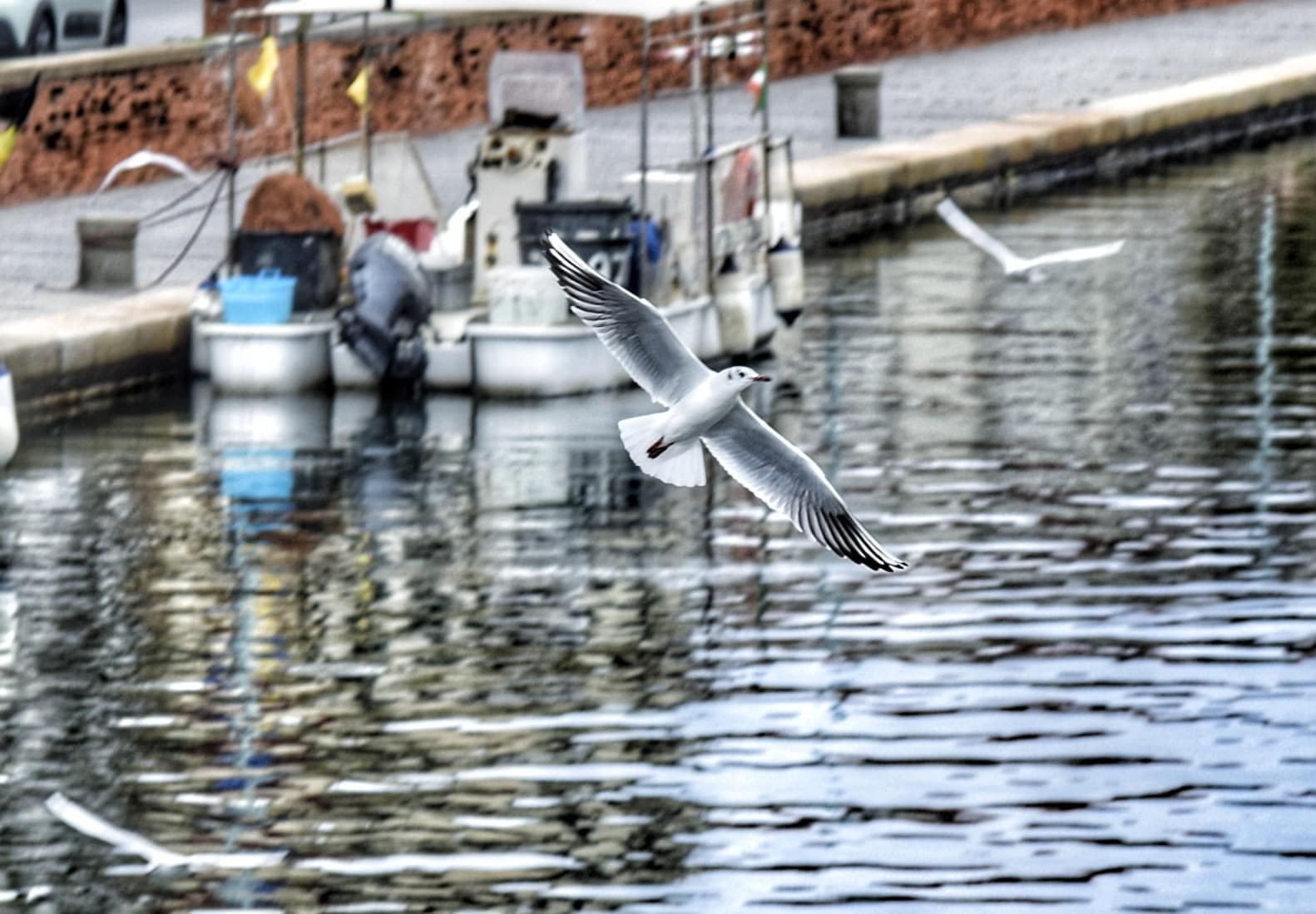 In volo sul Burlamacca