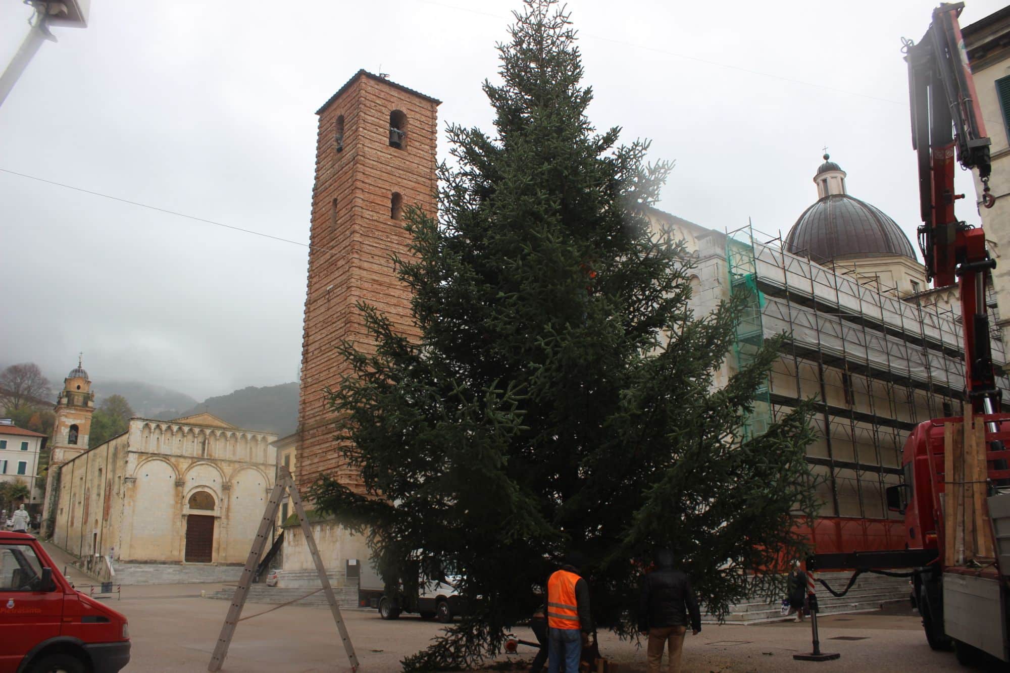 Pietrasanta punta sulla tradizione, è l’anno dell’abete classico e naturale Made in Tuscany