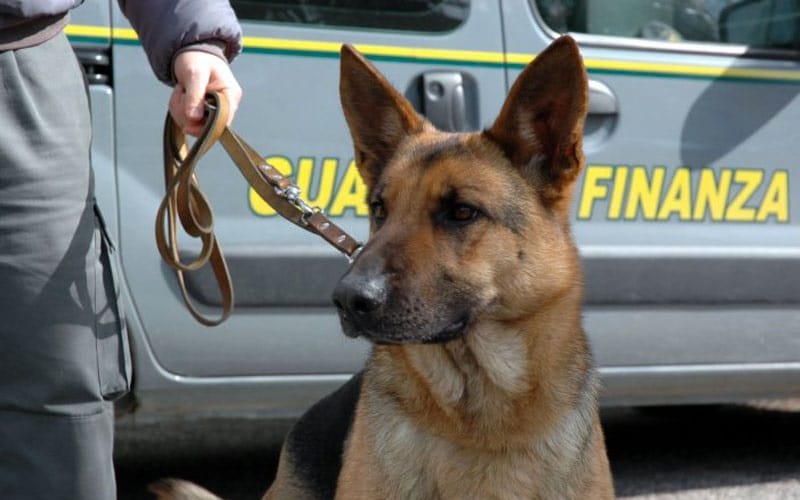 Spaccia cocaina, arrestato 30enne del Marocco richiedente asilo