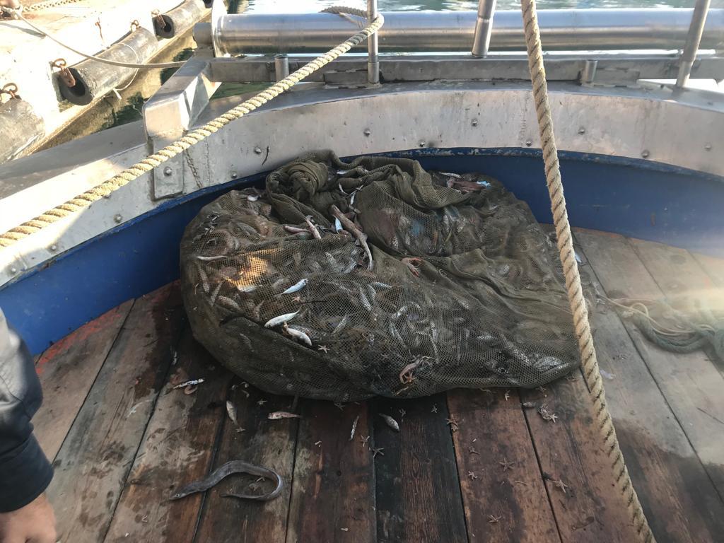 Reti irregolari, sanzionati due pescherecci: sequestrati 119 kg di pesce