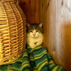 IMG 20181108 WA0006