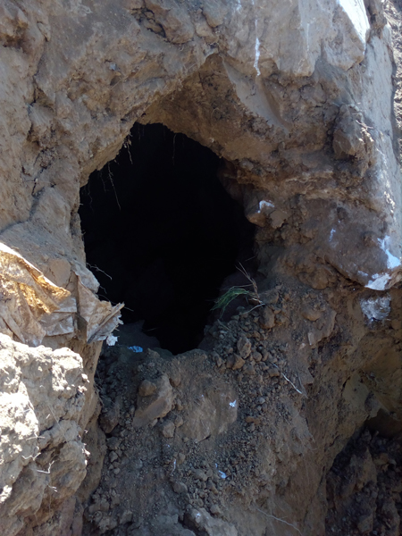 Durante i lavori all’Arginvecchio il Consorzio scopre una caverna dentro l’argine