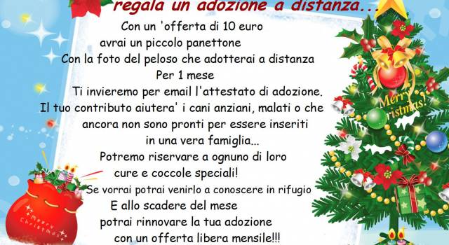 Natale si avvicina, regala un&#8217;adozione a distanza