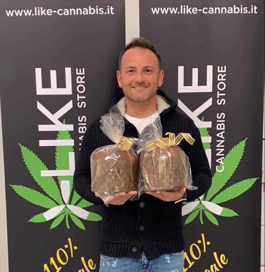 Novità di Natale: il panettone alla marijuana made in Toscana